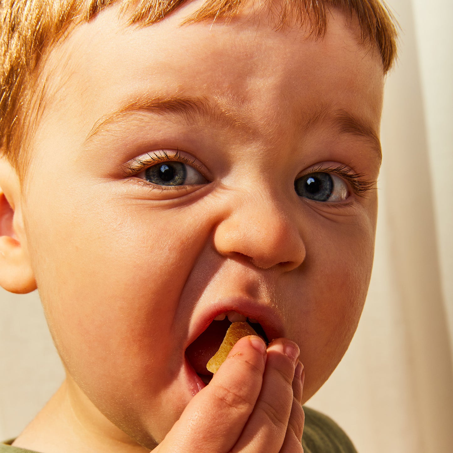 Toddler Snack 6-Pack